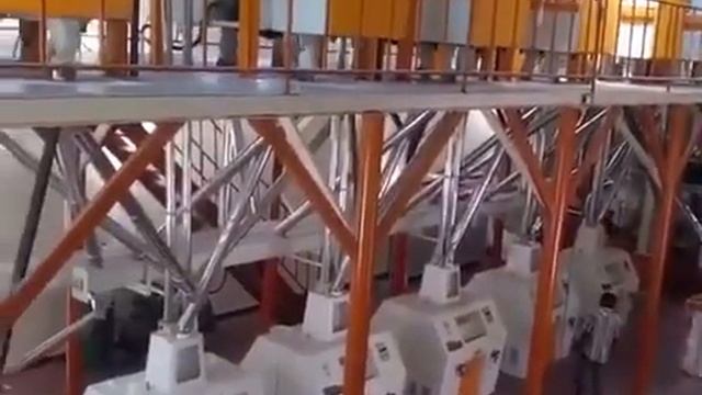 1000002349.mp4