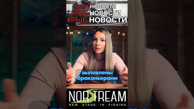 РЫБНОВОСТИ №18 БИТВА С БРАКОНЬЕРАМИ... #рыбновости #news #norstream #рыбалка