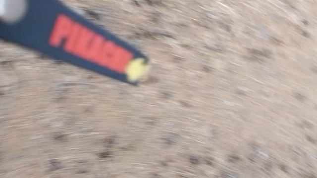 Видео из леса 3