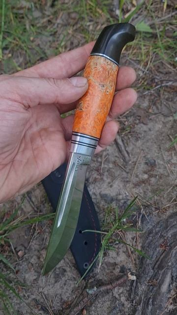 Финка Лаппи