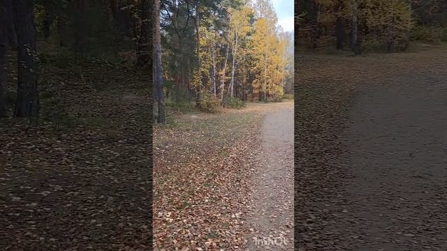осенняя настройка