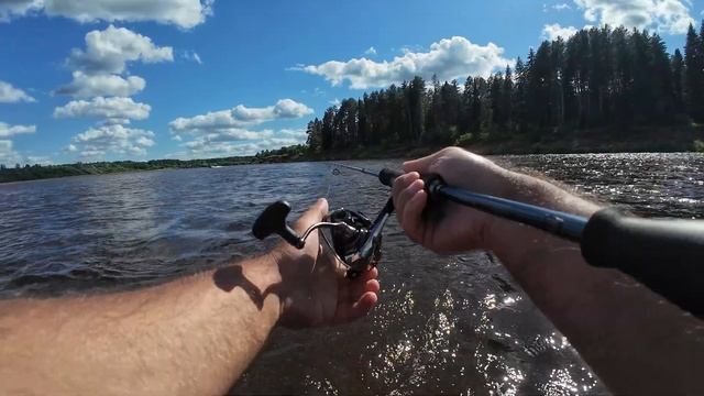 Ловля жереха на перекате. Жерех дуреет от этих примано