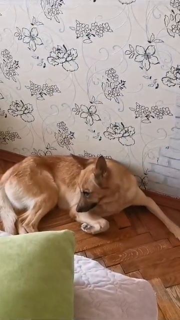 Отжала местечко🤣😎
