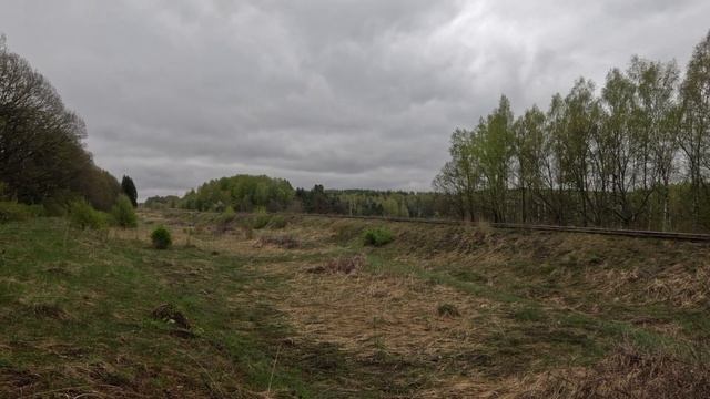 Тепловоз ЧМЭ3-2574 с грузовым поездом на линии Муром-Ковров