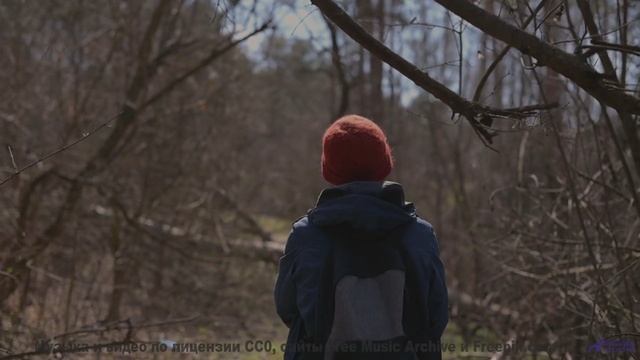 Включите погромче - и пусть дух захватывает! - Happily Done -- Independent Music Licensing Collectiv