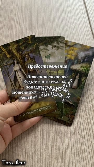 КАРТА ДНЯ 13 июня