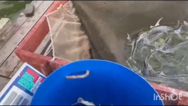 1000088072.mp4