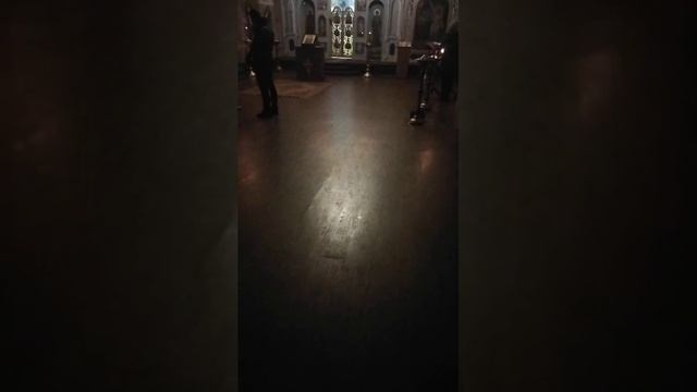 videoplayback1