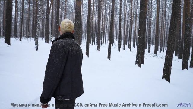Мелодия делает горизонты ближе, чем когда-либо - Swirling Snowflakes - Finale -- Maarten Schellekens
