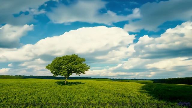 Утро начинается с этой мелодии! - Oxford Movement -- One Man Book -- But First a Story