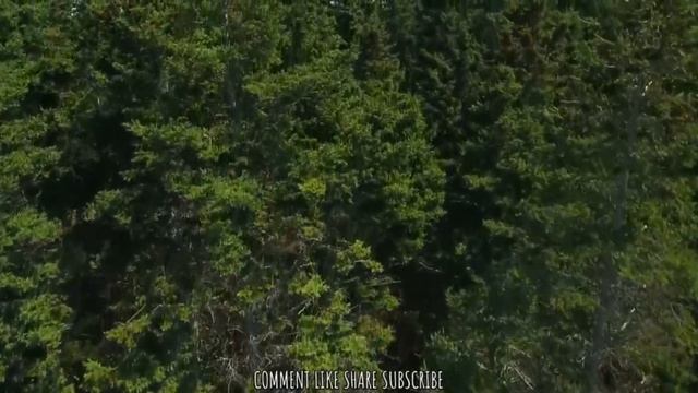 МИР ТЕБЕ-- НОВАЯ  ПЕСНЯ 2025 - SMART CHRISTIAN MELODIES 🌿