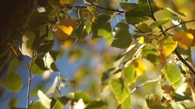 Сегодня обязательно напишите одну цифру на пороге.
