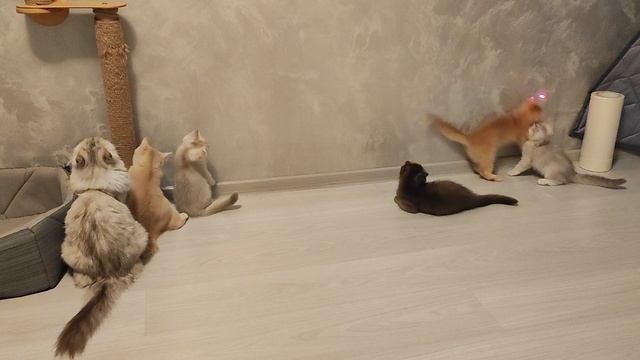 1000469696.mp4