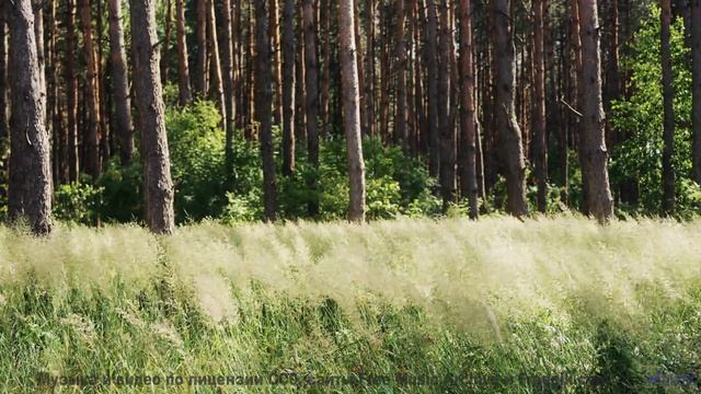Почему все помешаны на этом - Letting Go -- Kirk Osamayo -- Season Two (YELLOW)