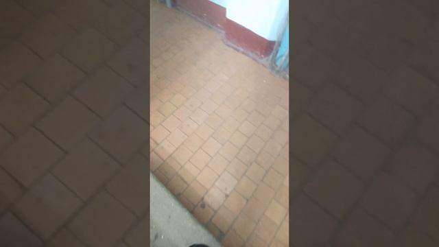 1000001222.mp4
