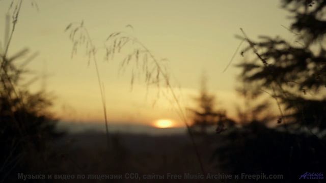 Кадры, снятые через кротовую нору - технологии будущего! - Westbreeze -- Hiro -- Hiro
