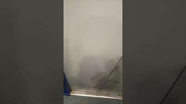 1000001215.mp4