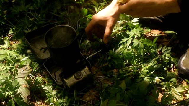 В лес на велосипеде. Готовка на примусе.
