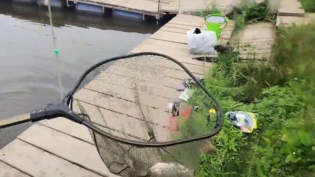 Утро на водоёме