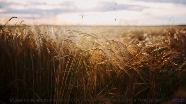 Эти пейзажи и музыка вытряхнут душу начисто - Selfish -- Derek Clegg -- Good Graces