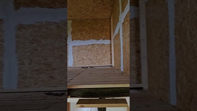 1000027282.mp4