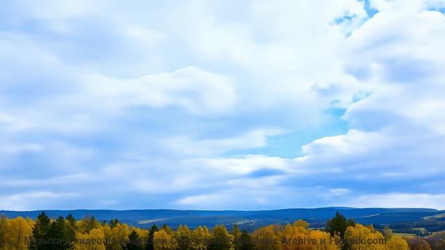 Мелодия шепчет, как звучит настоящее спокойствие - Pop It -- Kirk Osamayo -- Season Two (BLUE)