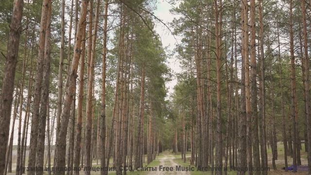 Мелодия, делающая даже сломанный указатель частью вашей истории - Facing An Uncomfortable Truth -- K