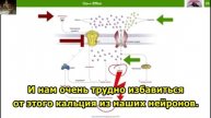Метиленовый синий — что он может, когда и как его использовать