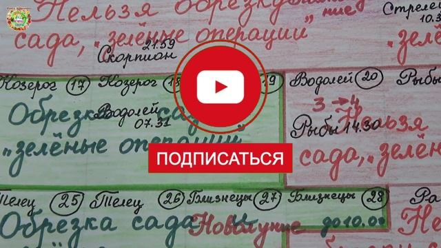 Ошибки при обрезке сада которые совершают все!