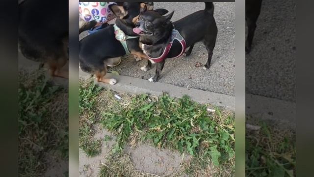 1000009691.mp4