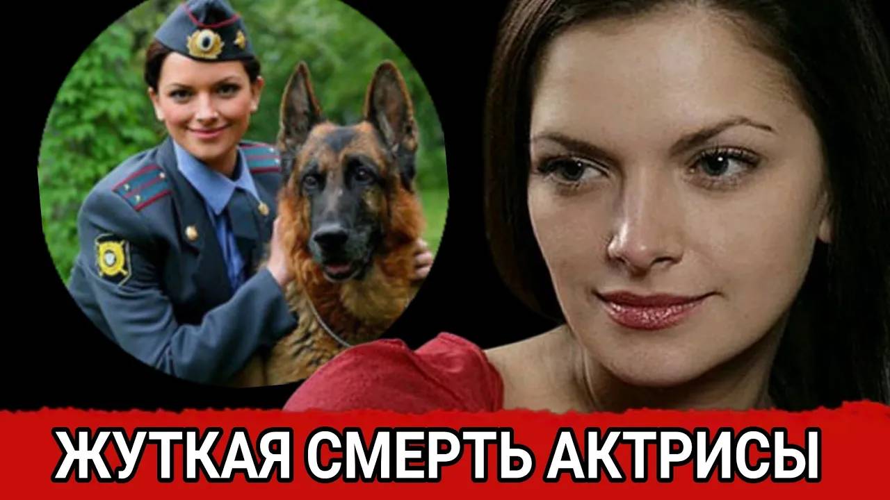 Тайна жуткой смерти звезды сериала «Возвращение Мухтара»