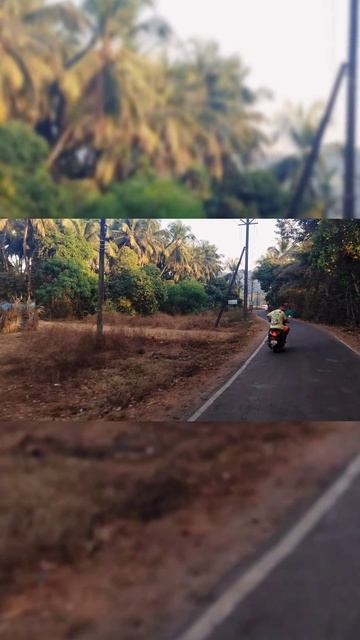 Mister Monj, Goa Travels