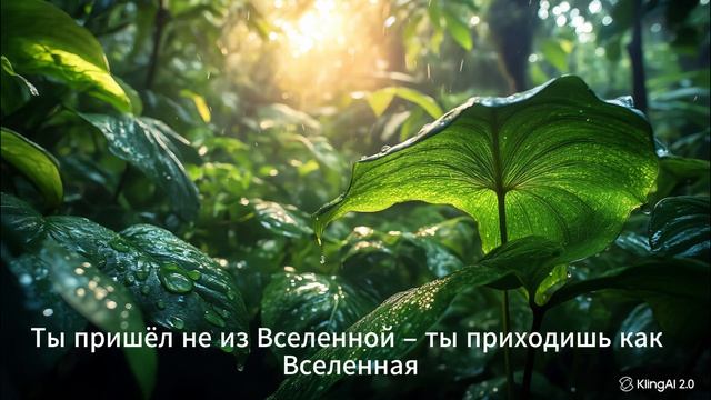 Подпишись!