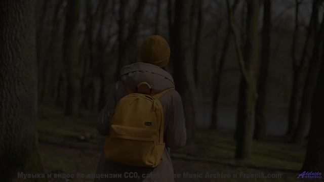 Музыка для постчеловечества - готовы ли вы к эволюции - Oh Love! -- Ayla Nereo -- Beheld