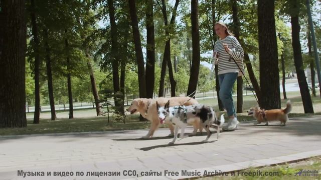 Видео, созданное тёмной материей - технологии за гранью понимания! - You. Me. Talk. Now. -- Forget t
