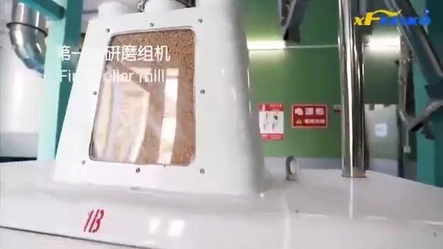 1000002362.mp4