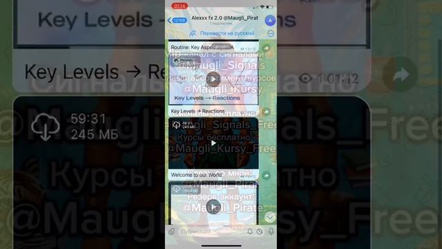 Alexxx fx 2.0 менторшип слив