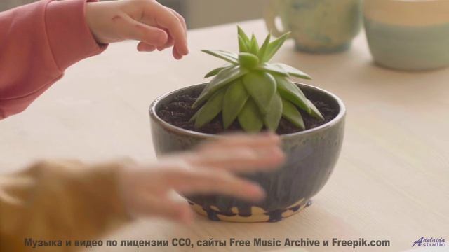 Удивление не отпускает, пока звучит этот мощный саунд - My Soul -- Mack Aroni -- Lowfi Spirit