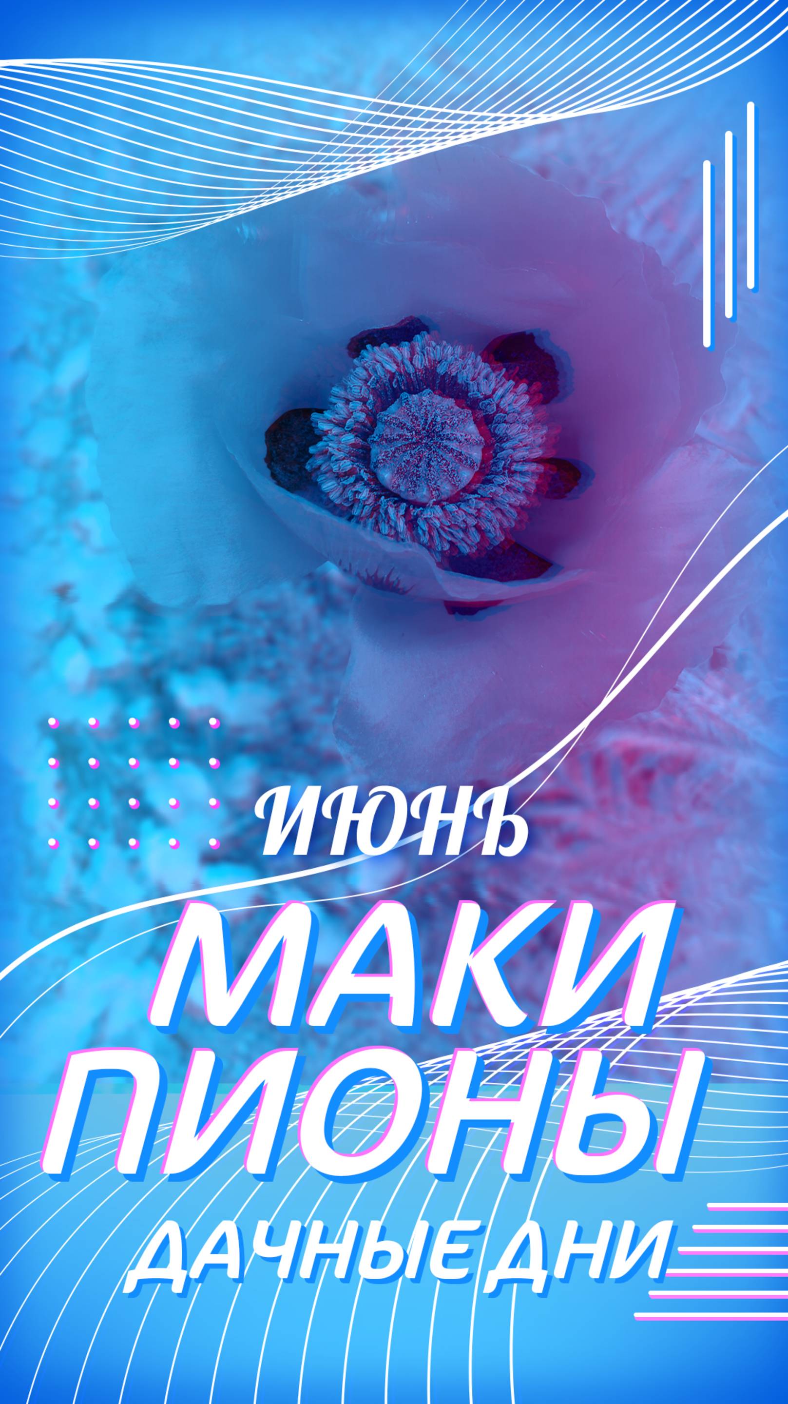 Маки и бутоны пионов