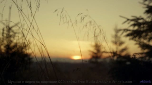 Этот трек поднимает настроение лучше любого кофе - Lets Skip To The Good Bit -- Duncan Reid and the