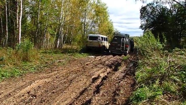 вид 040