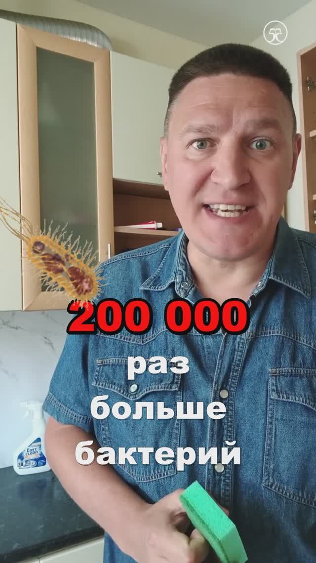 🦠 бактерии на 🧽 кухонной губке
