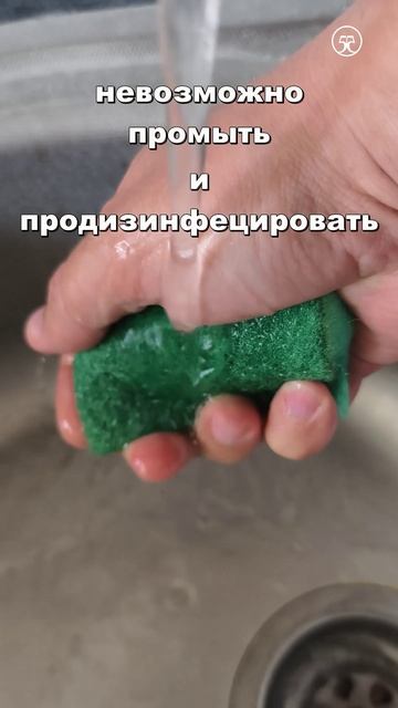 🦠 бактерии на 🧽 кухонной губке