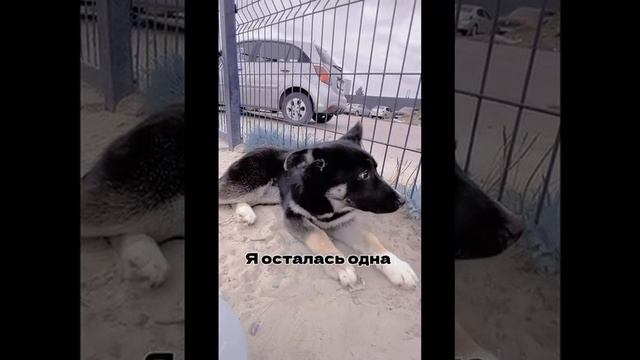 Счастливый билет