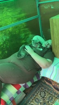 Всем привет !