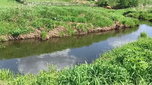 Рыбалка на хапуги, за огородом у дома.