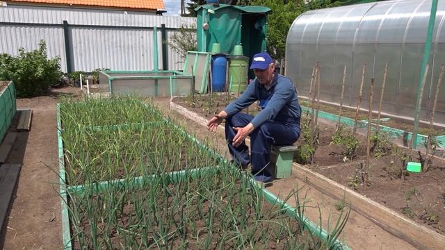 " Во саду ли, в огороде" ( Выпуск от 13.06.2025)