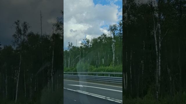 Дорога в Выборг...