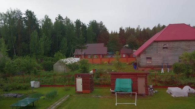 Летний дождь