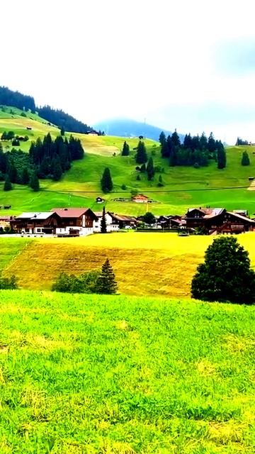 Камера зафиксировала что-то уникальное